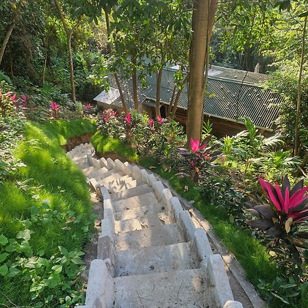 La Casa Del Mono Βίλα Minca Εξωτερικό φωτογραφία